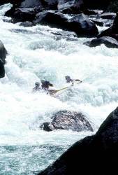 Mushroom rapid on Cherry Creek
