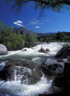 Whitewater River Rafting trips near Santa Cruz, CA