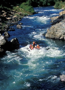 Whitewater River Rafting trips near Placerville, CA