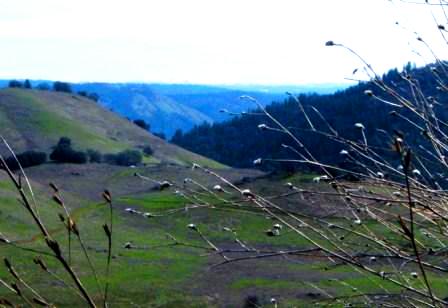 DSCF0886.JPG