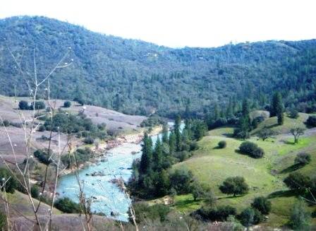 American River Cronin Ranch