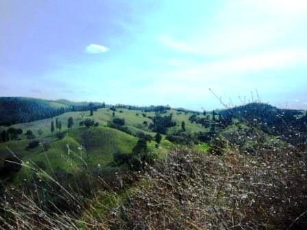 DSCF0890.JPG