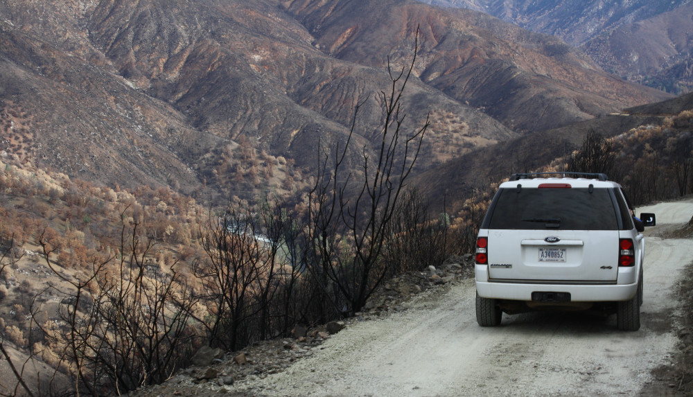 Road to recovery - the 2013 California Rim Fire